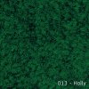 013 - Holly